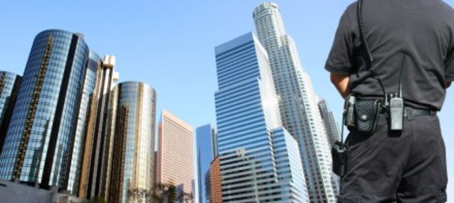 SEGURIDAD EN EDIFICIOS